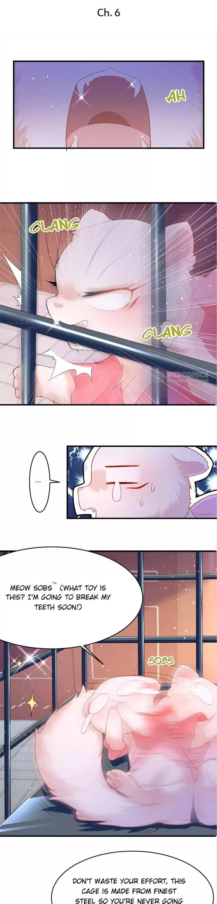 Page 1 of Chapter 6