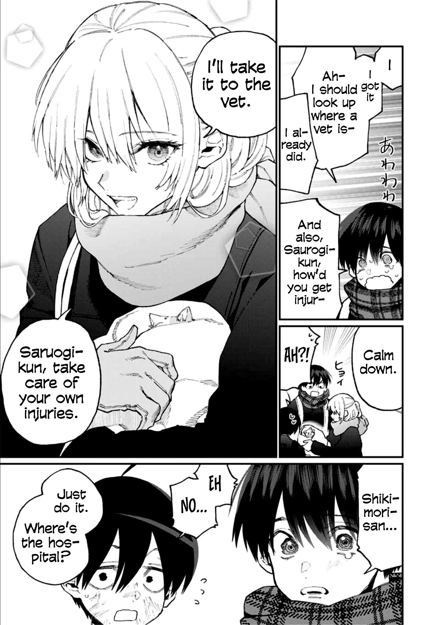 Page 4 of Chapter 85
