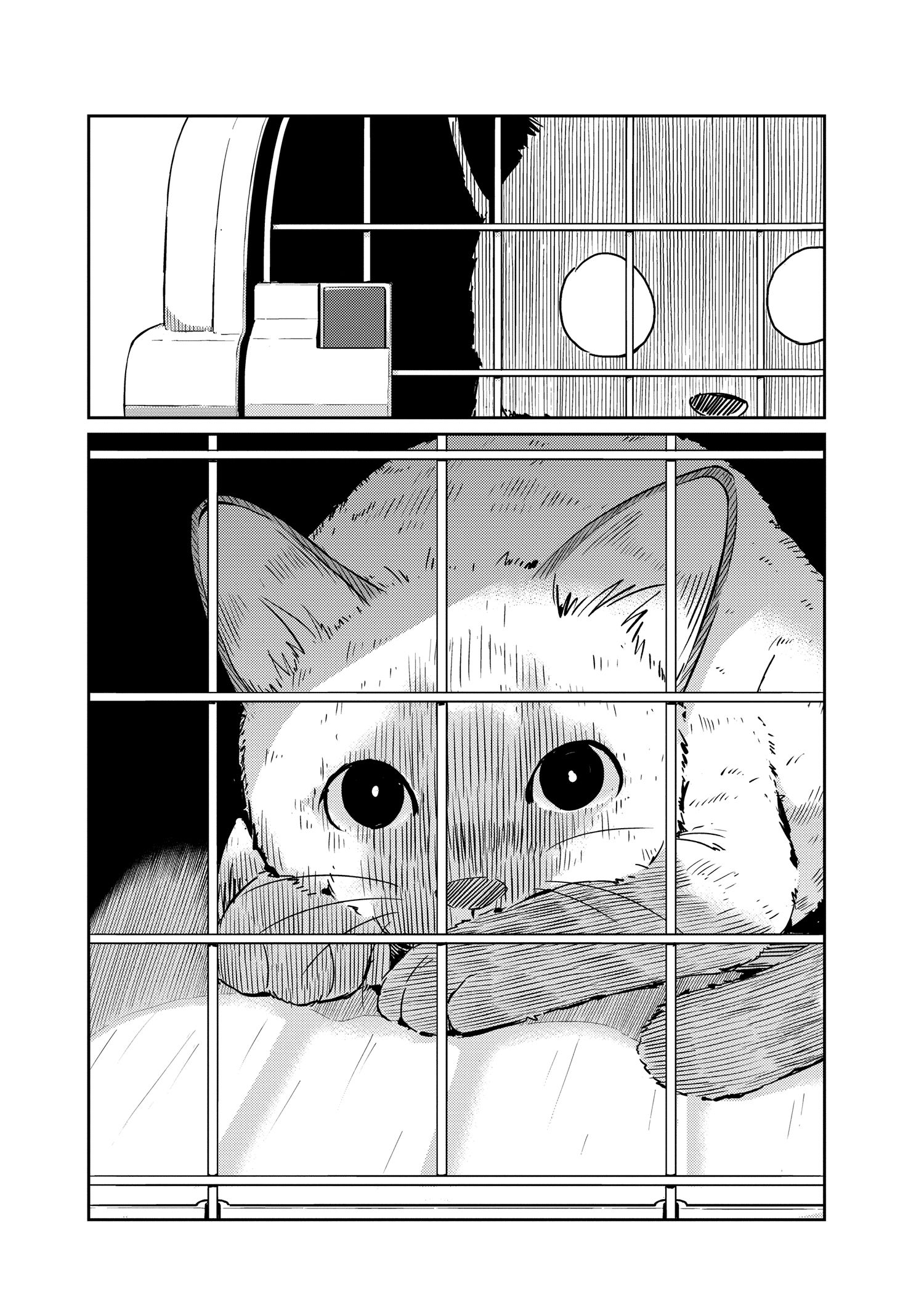 Page 36 of Chapter 1
