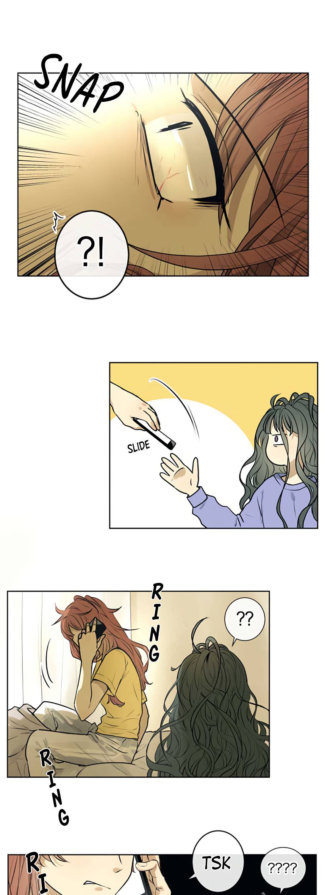 Page 4 of Chapter 212