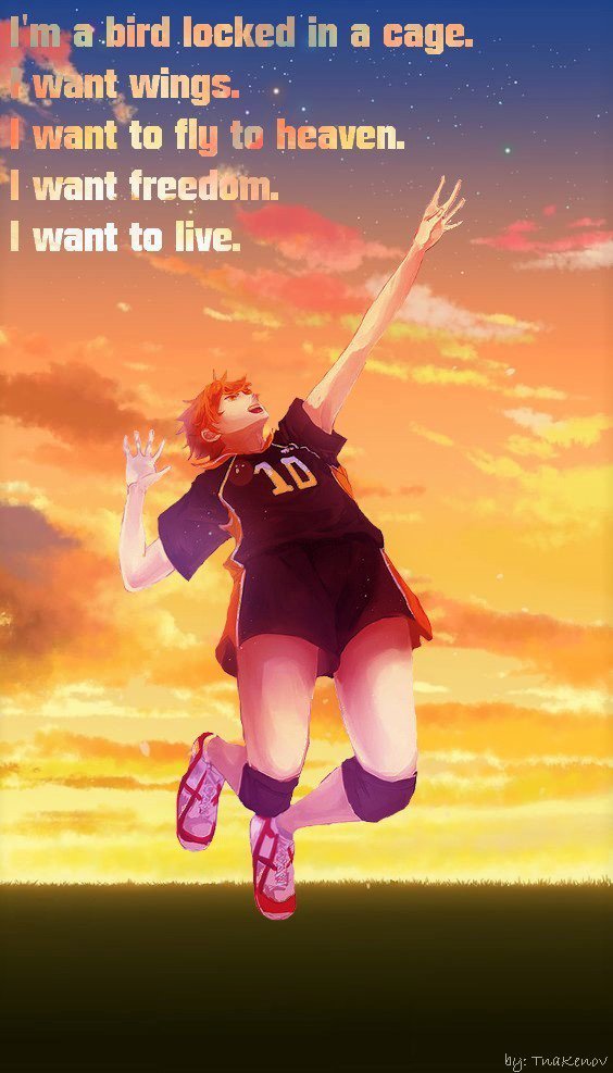 Page 22 of Chapter 274