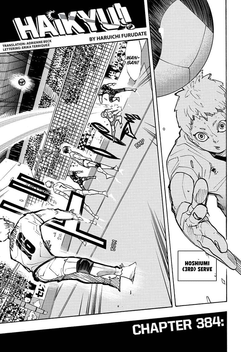 Page 1 of Chapter 384