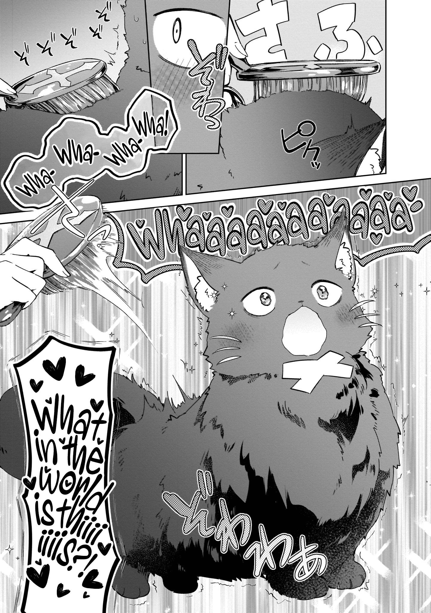 Page 31 of Chapter 6