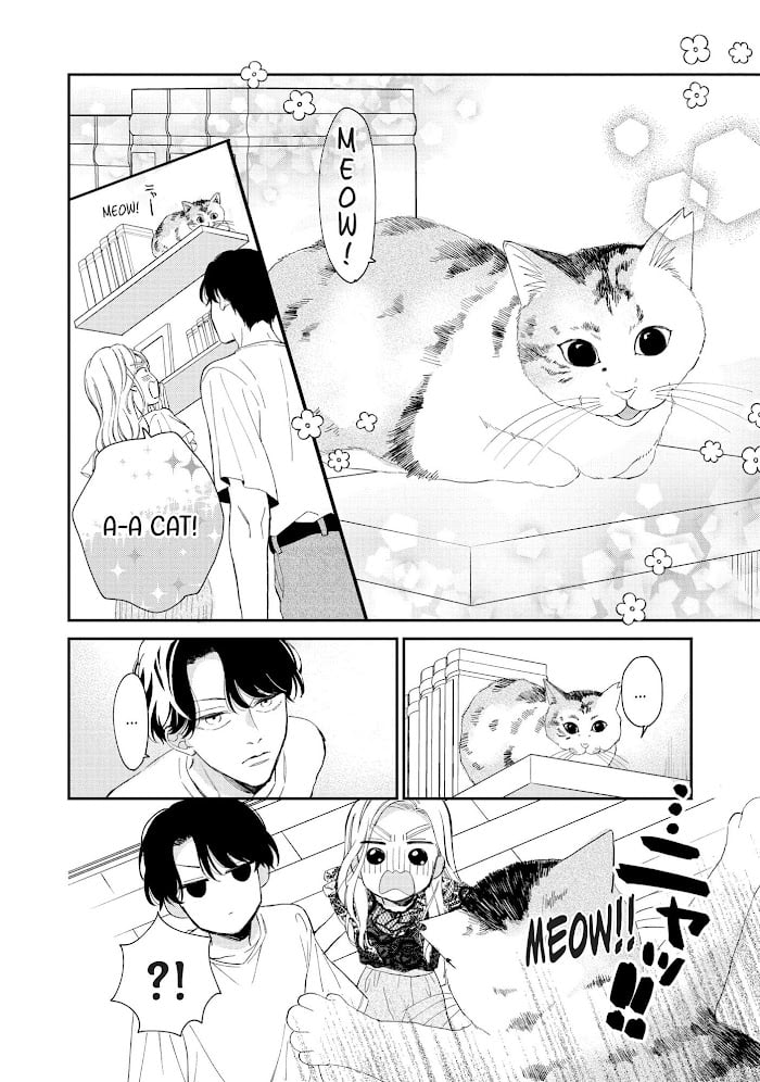 Page 17 of Chapter 11
