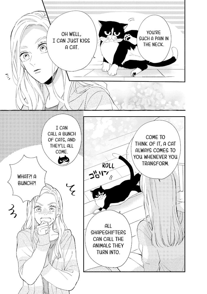 Page 4 of Chapter 12.5