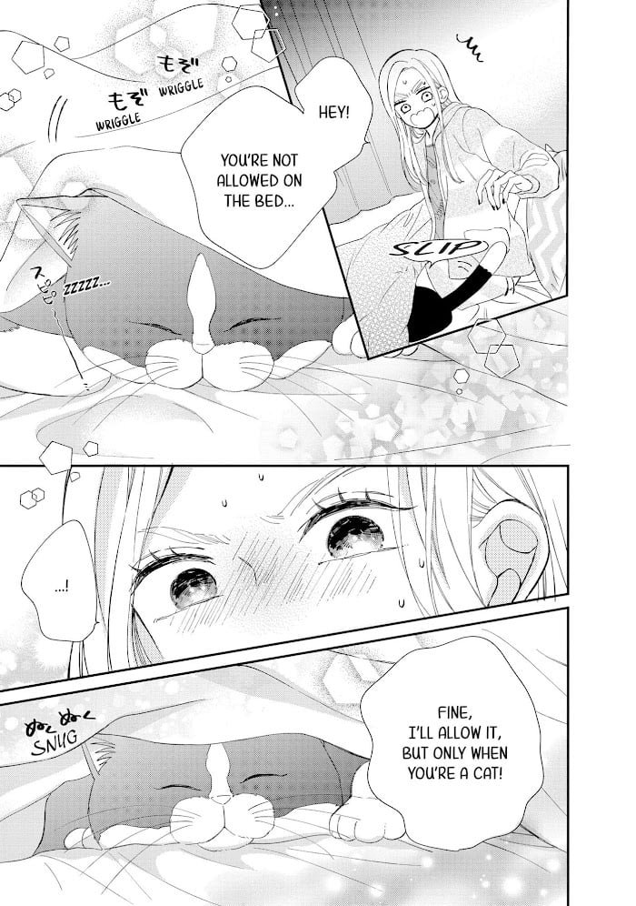 Page 8 of Chapter 12.5