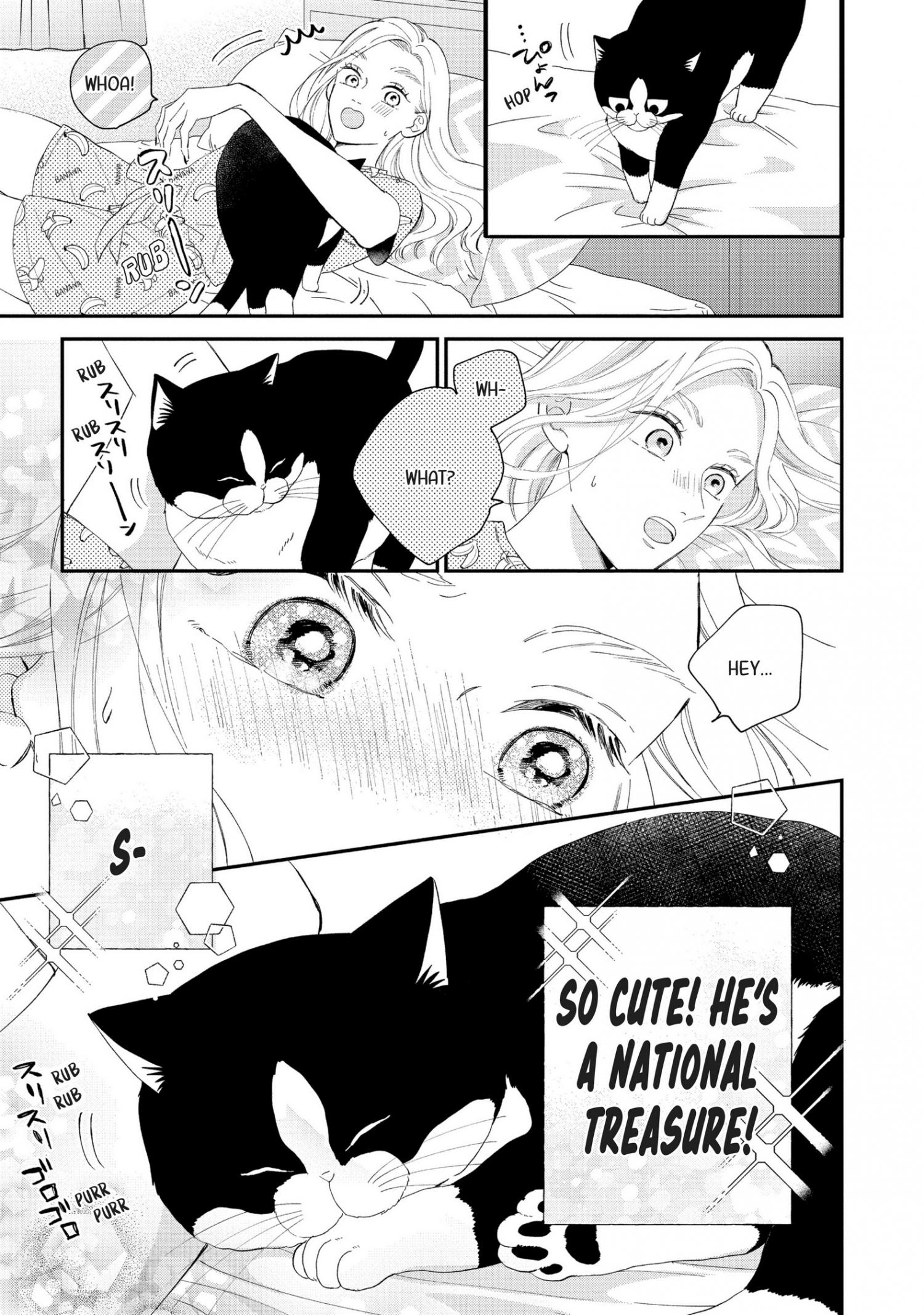 Page 4 of Chapter 15