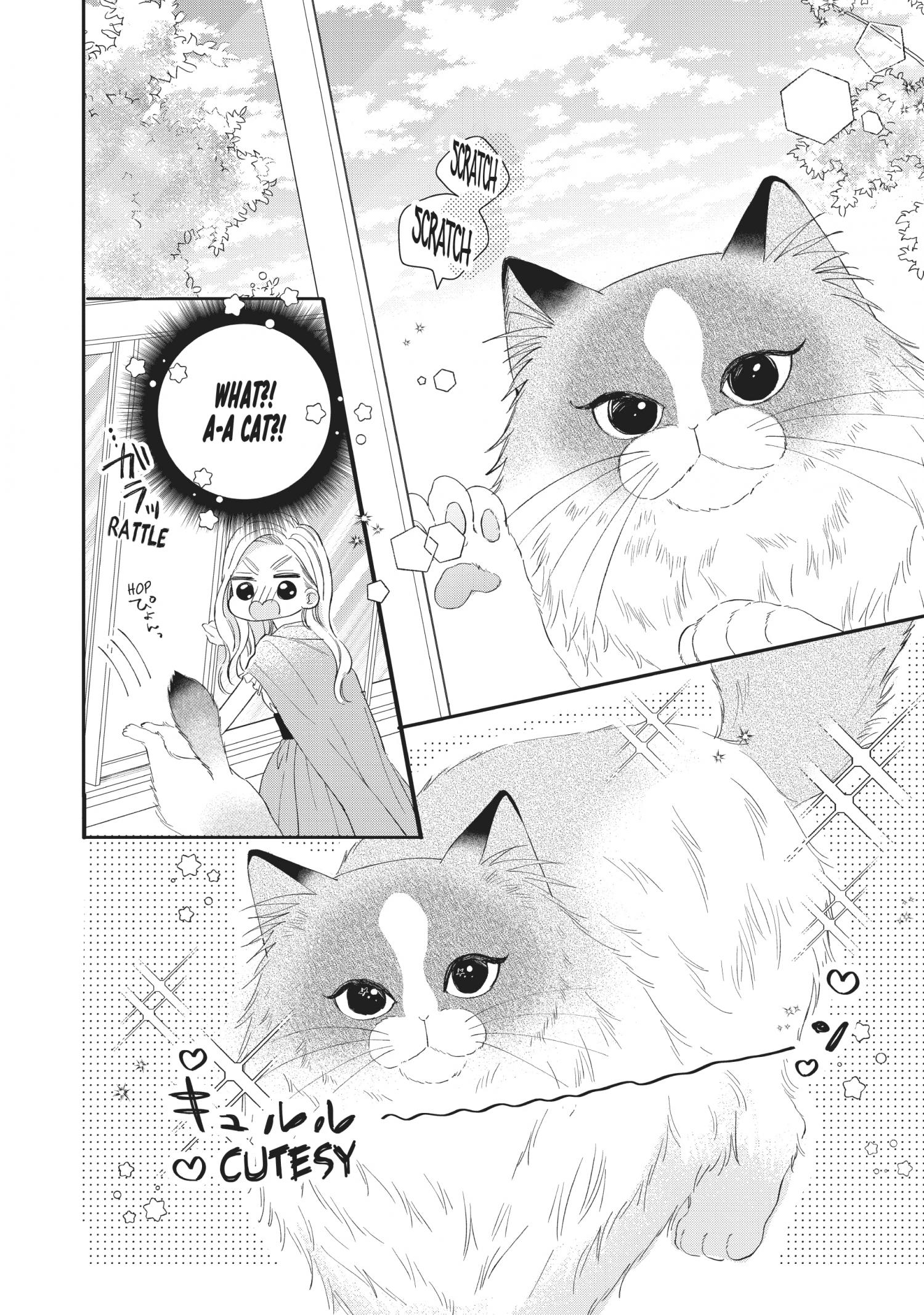 Page 25 of Chapter 20