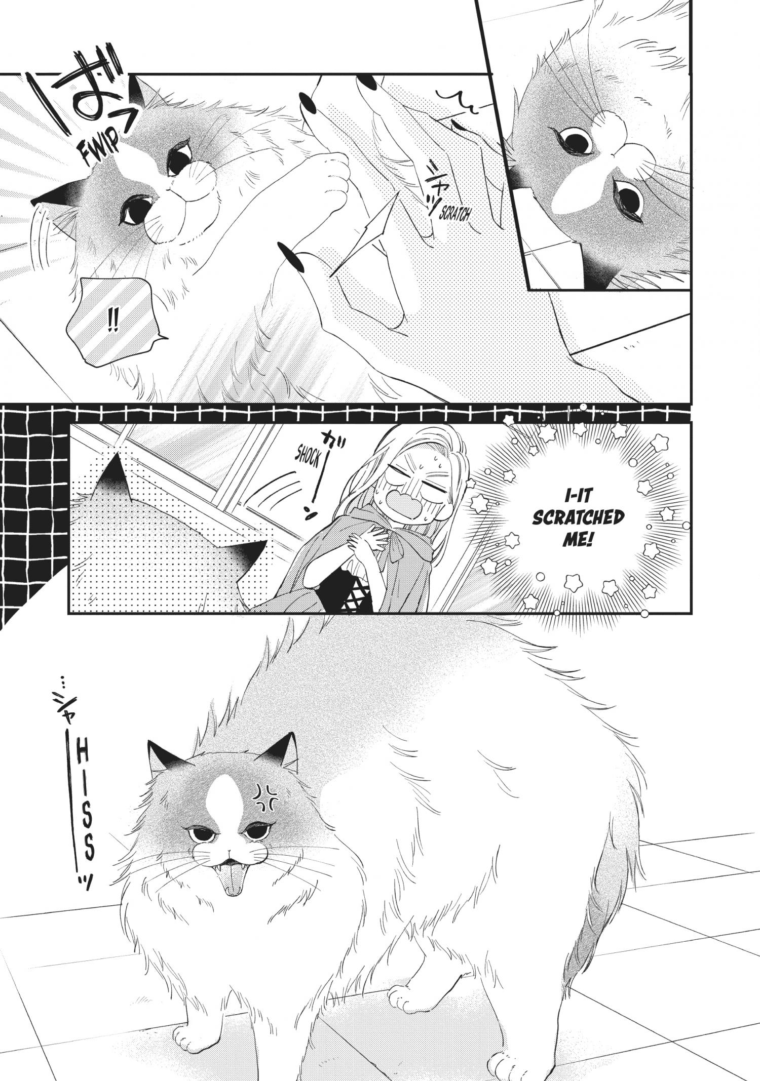 Page 28 of Chapter 20