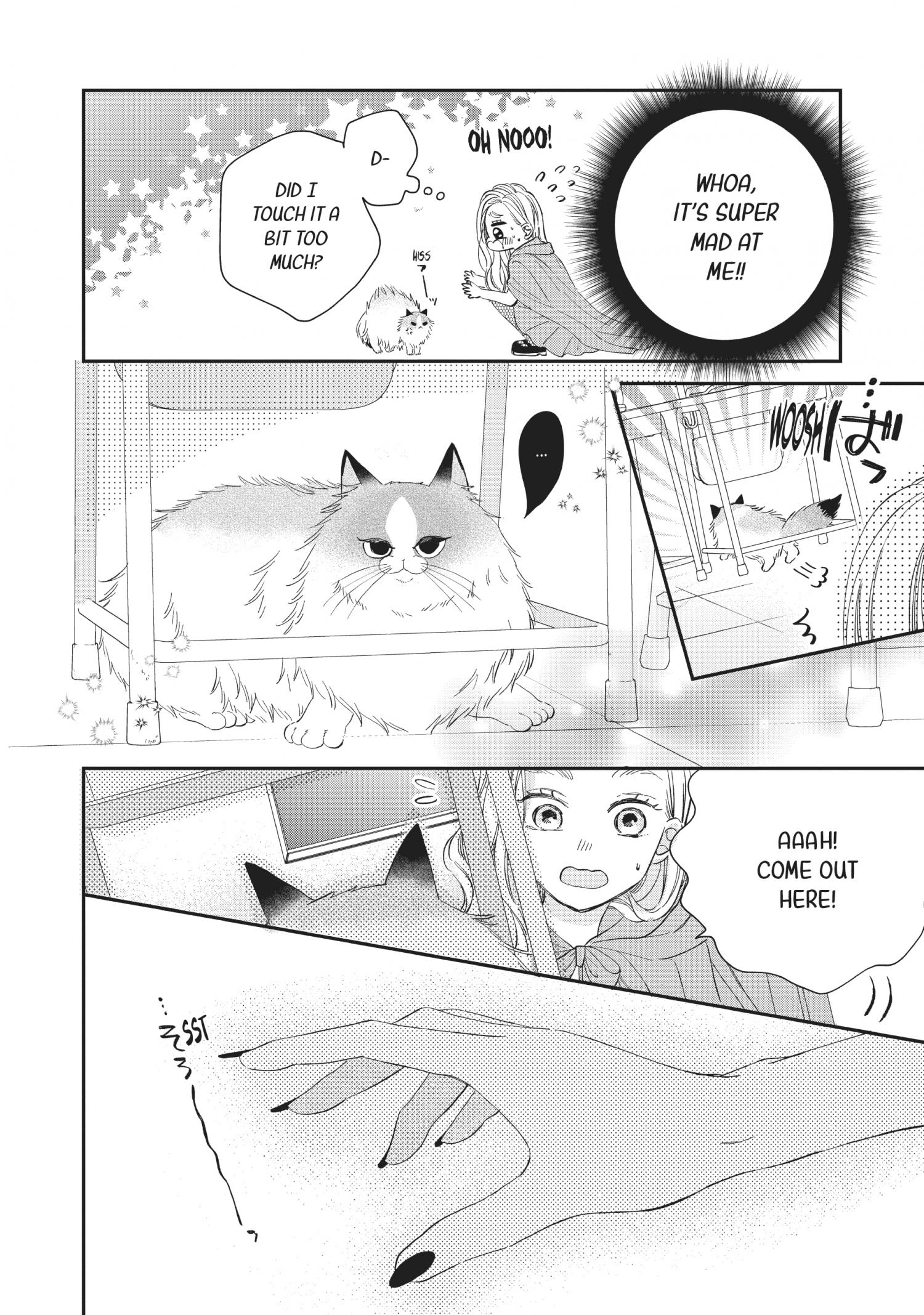 Page 29 of Chapter 20