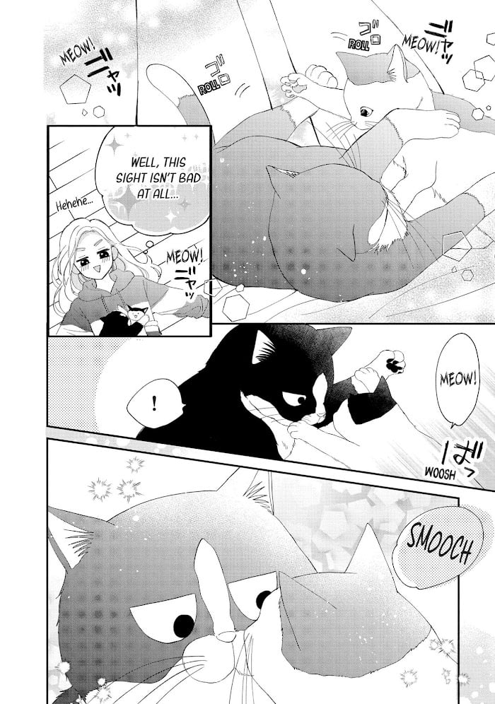 Page 13 of Chapter 8