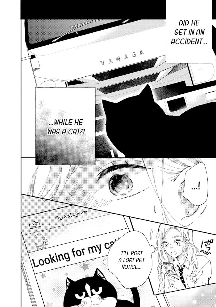 Page 21 of Chapter 8