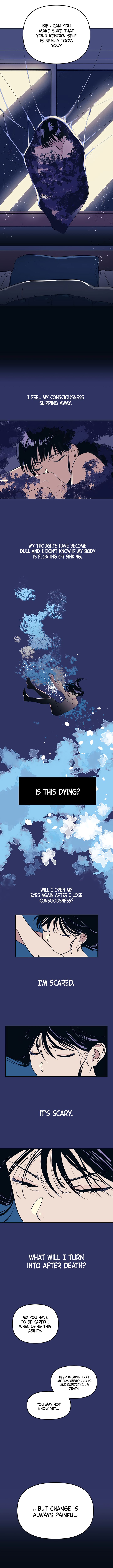 Page 12 of Chapter 1
