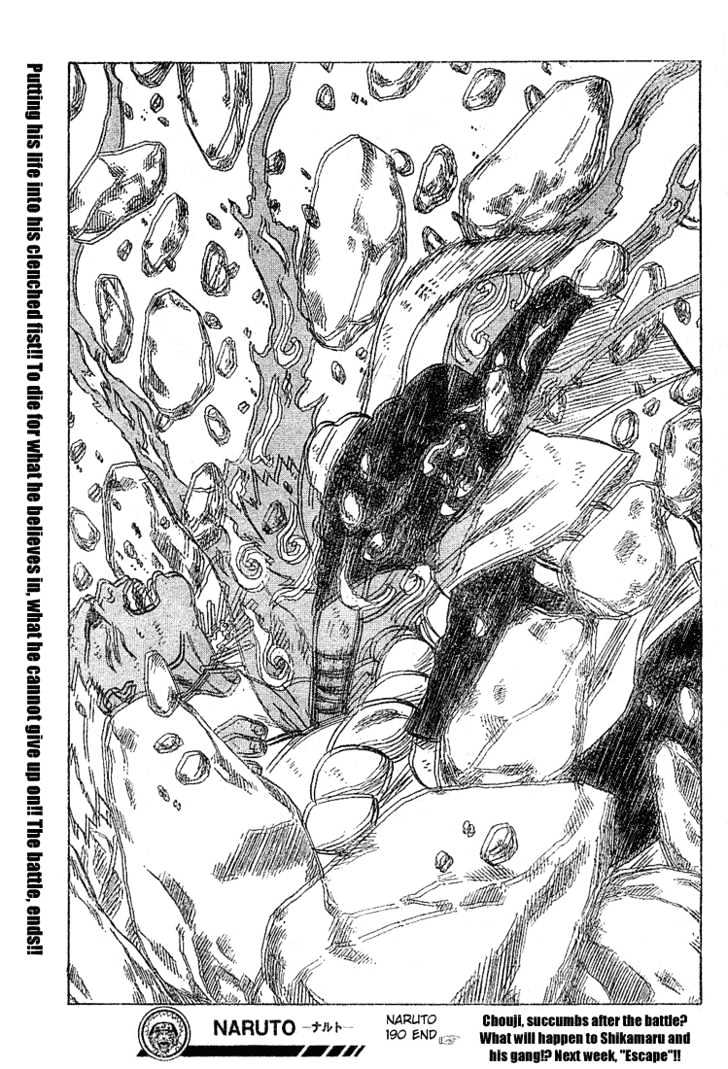 Page 19 of Chapter 190