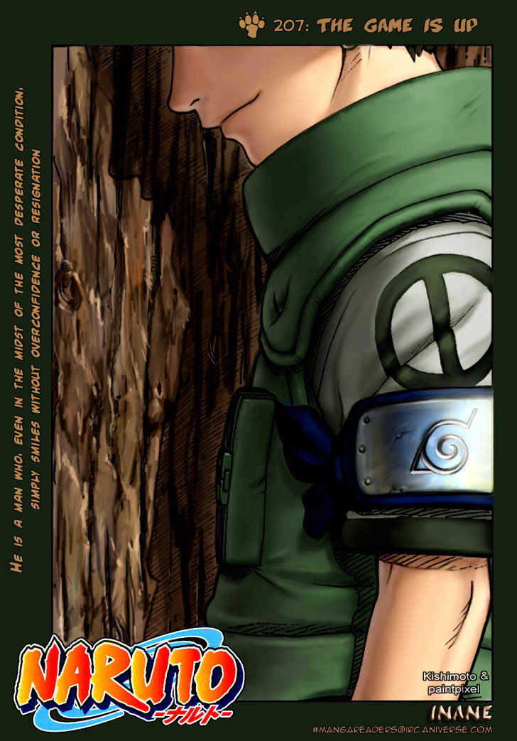 Page 2 of Chapter 207