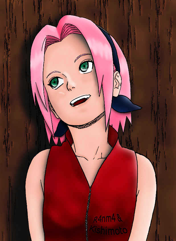 Page 13 of Chapter 253