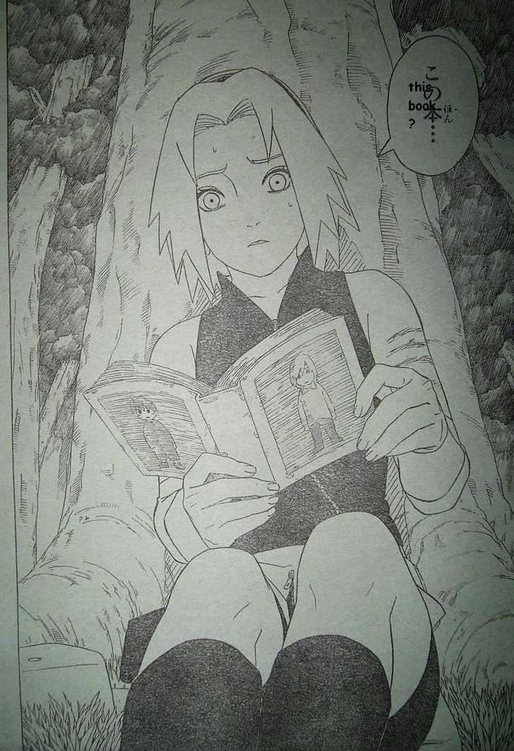 Page 17 of Chapter 299