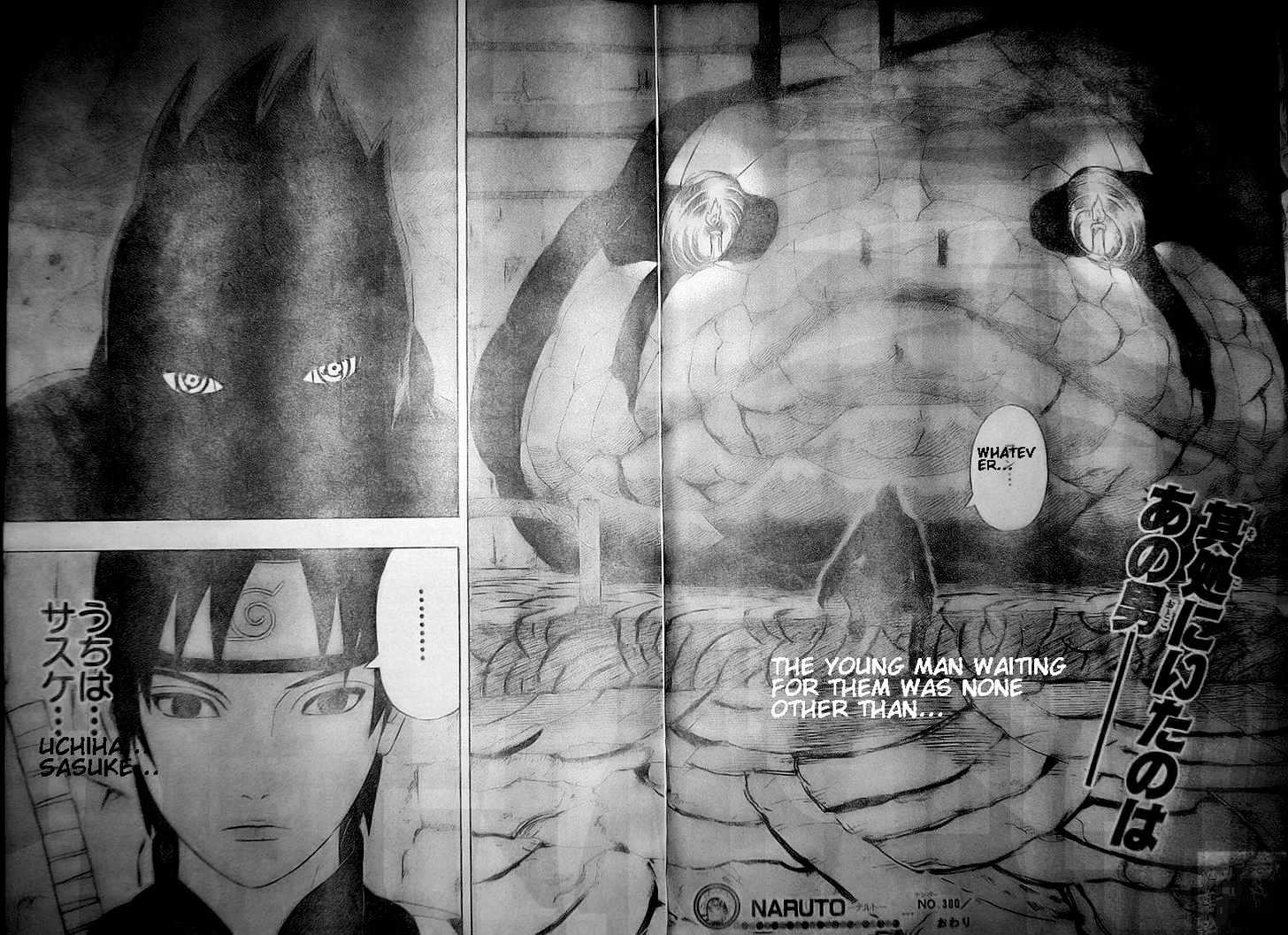 Page 20 of Chapter 300