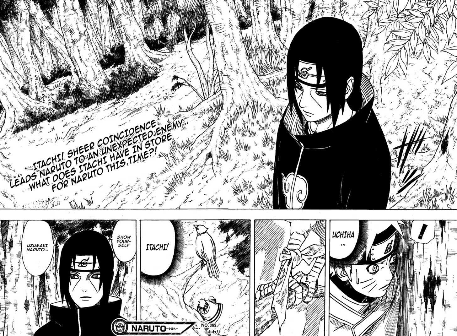 Page 17 of Chapter 365