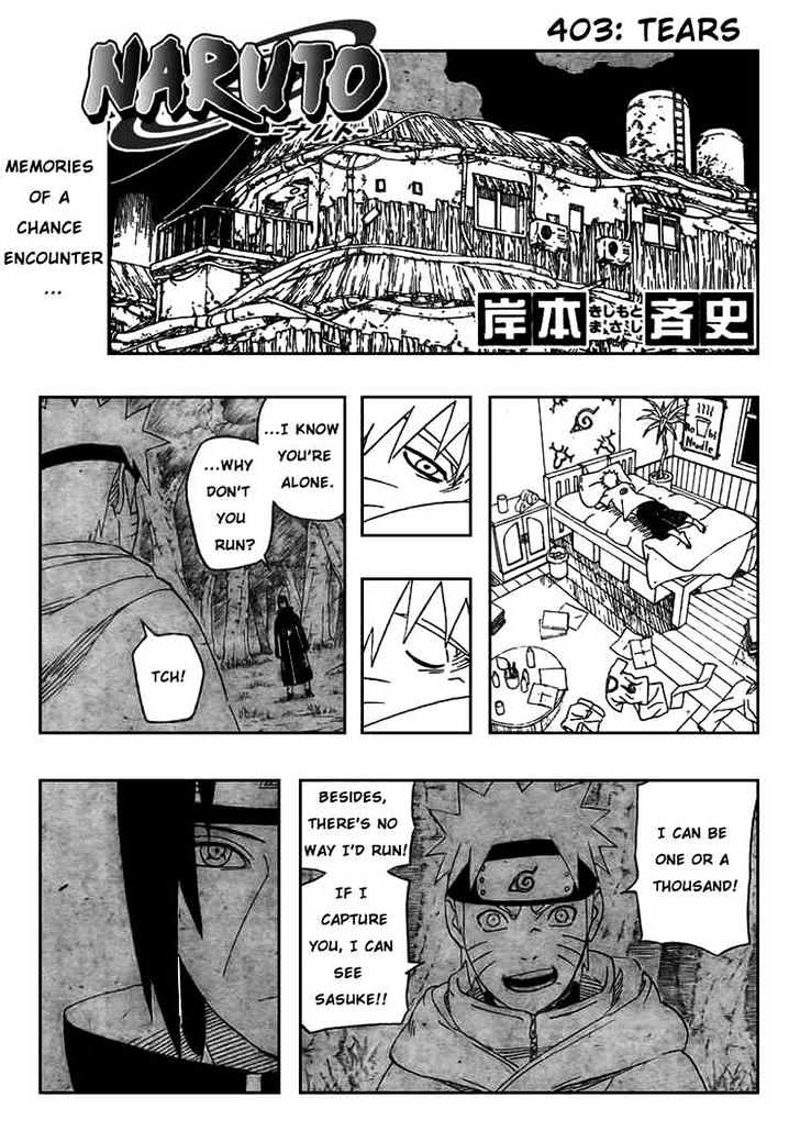 Page 1 of Chapter 403