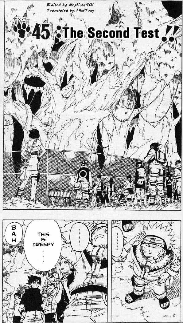 Page 1 of Chapter 45