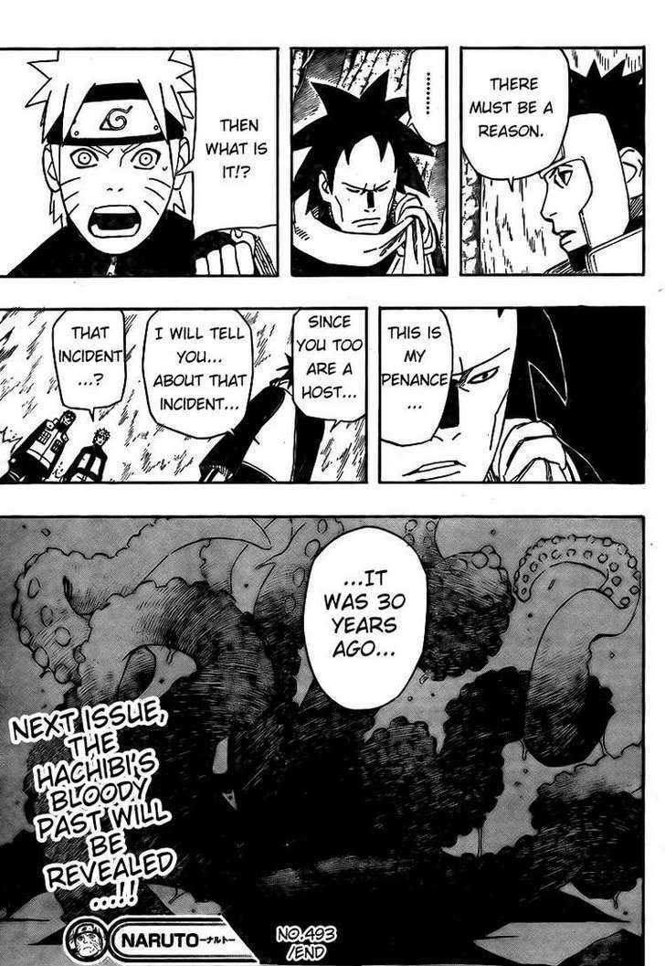 Page 17 of Chapter 493