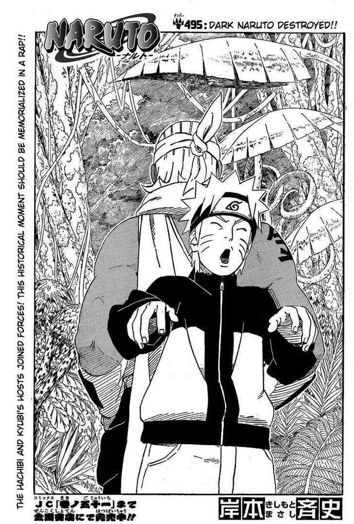 Page 1 of Chapter 495