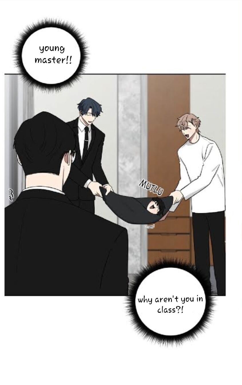 Page 4 of Chapter 15