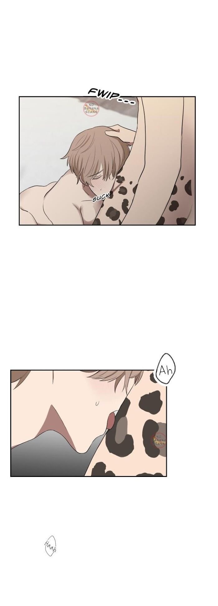 Page 17 of Chapter 19