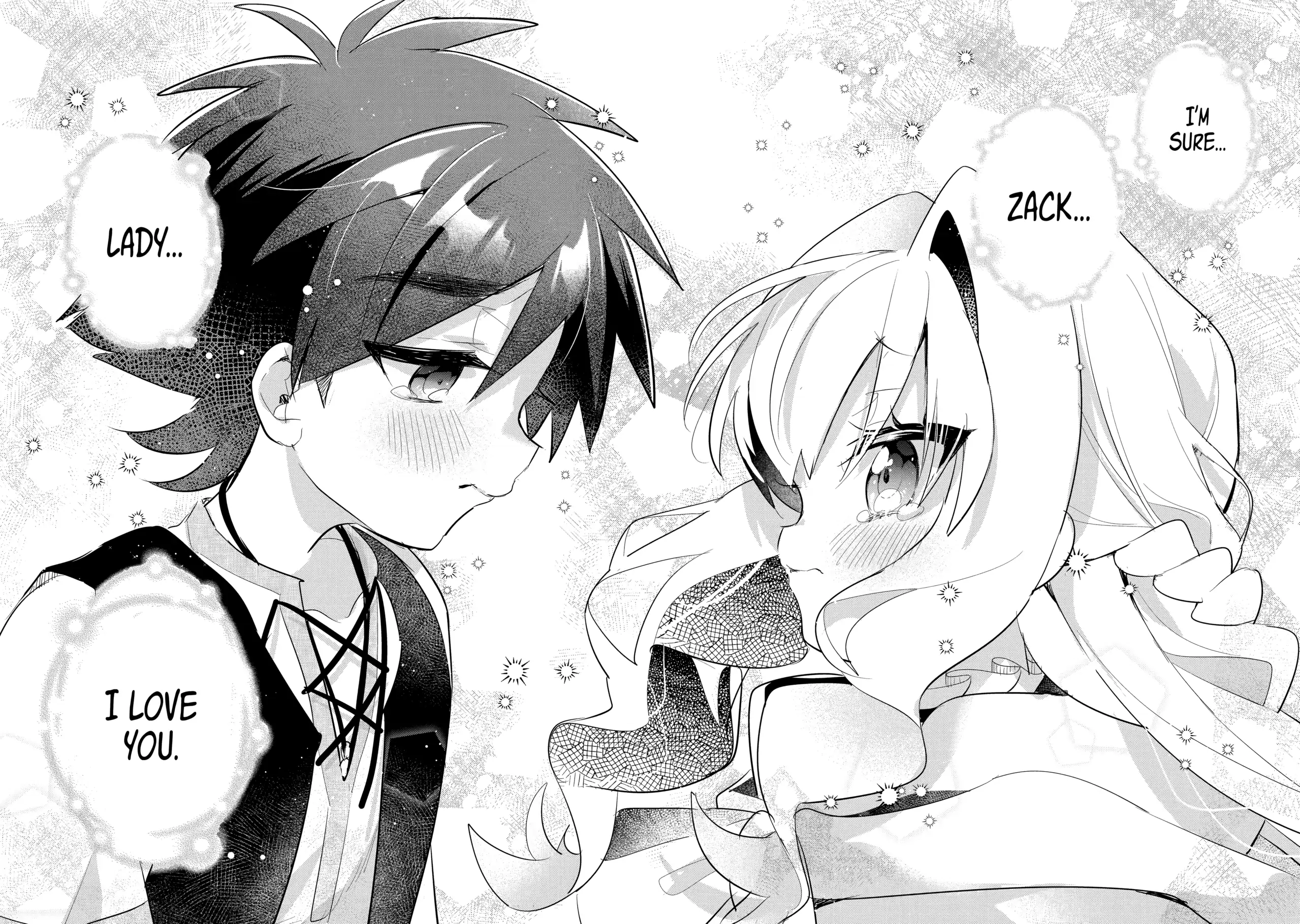 Page 17 of Chapter 20.4