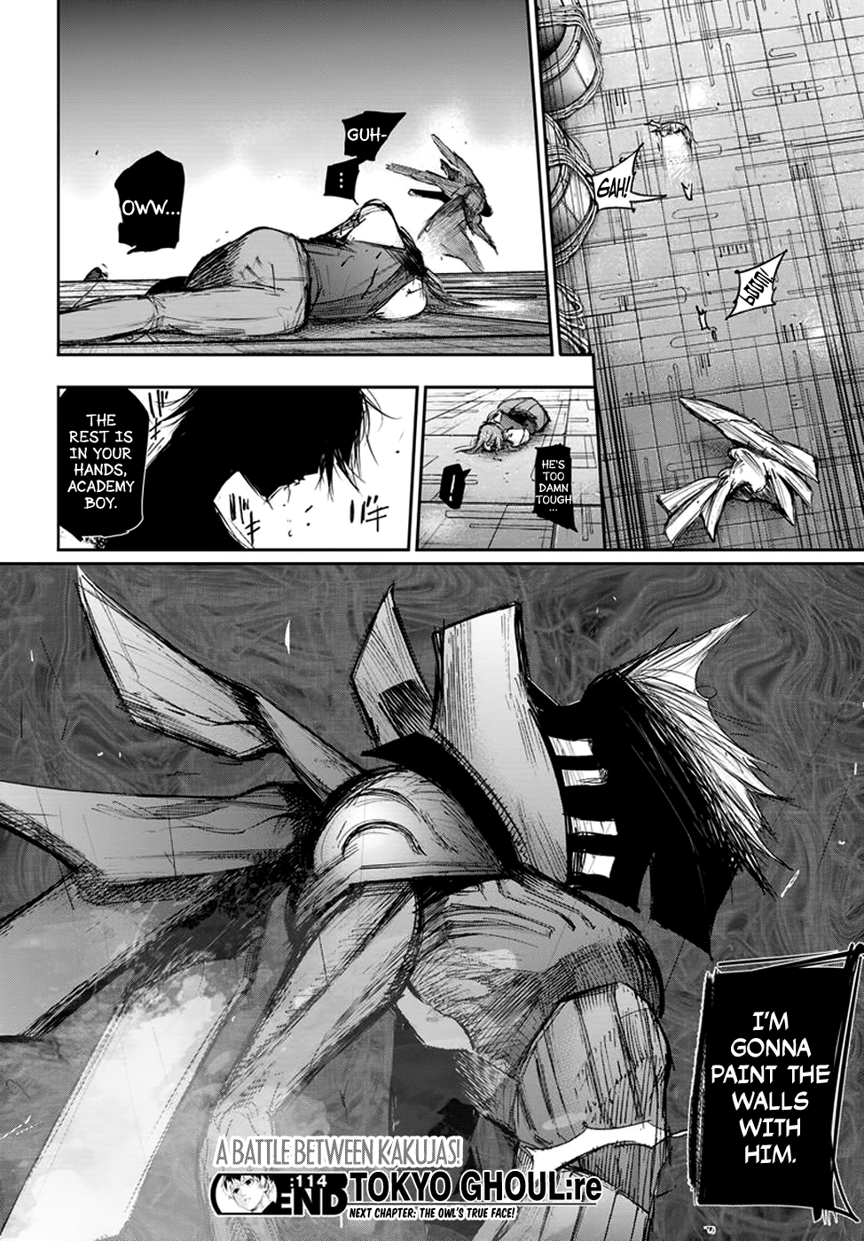 Page 19 of Chapter 114