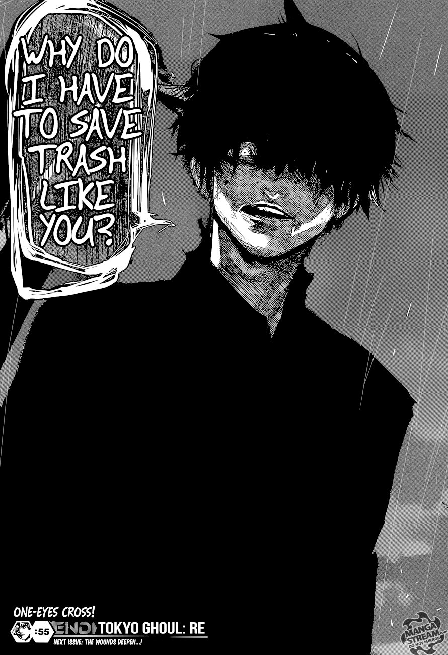 Page 17 of Chapter 55