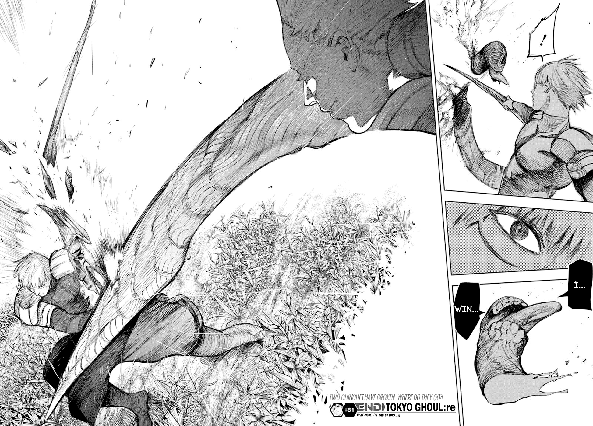 Page 20 of Chapter 81