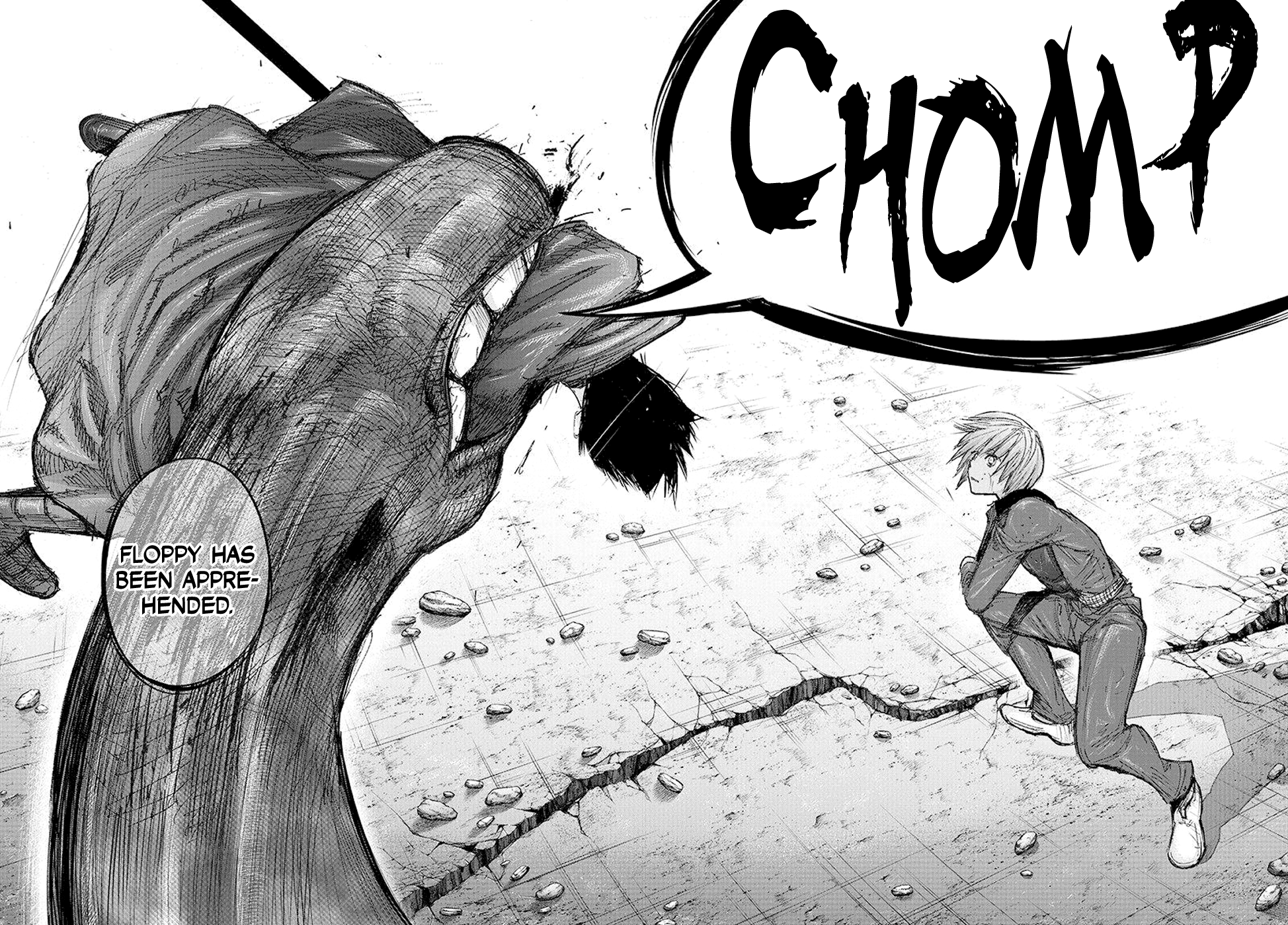 Page 17 of Chapter 95