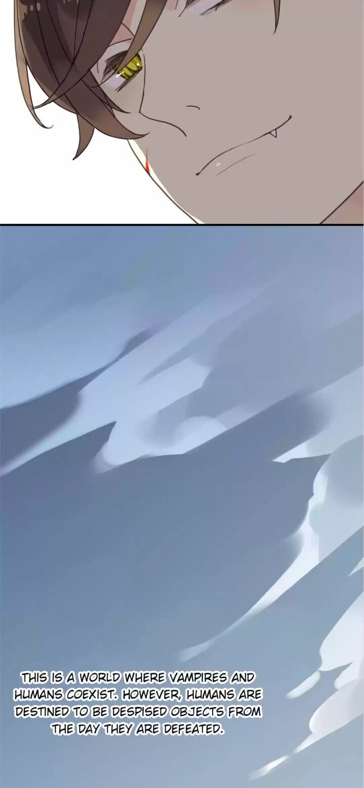 Page 49 of Chapter 1