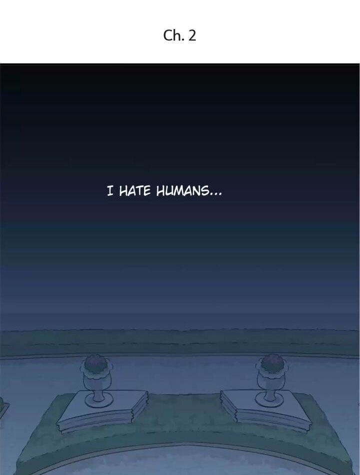 Page 1 of Chapter 2