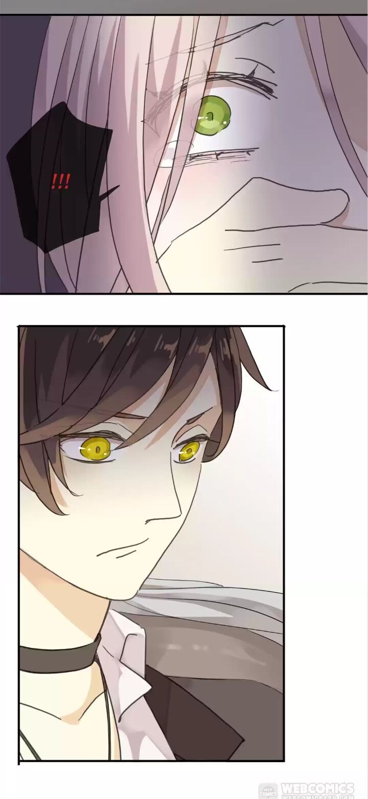 Page 29 of Chapter 8