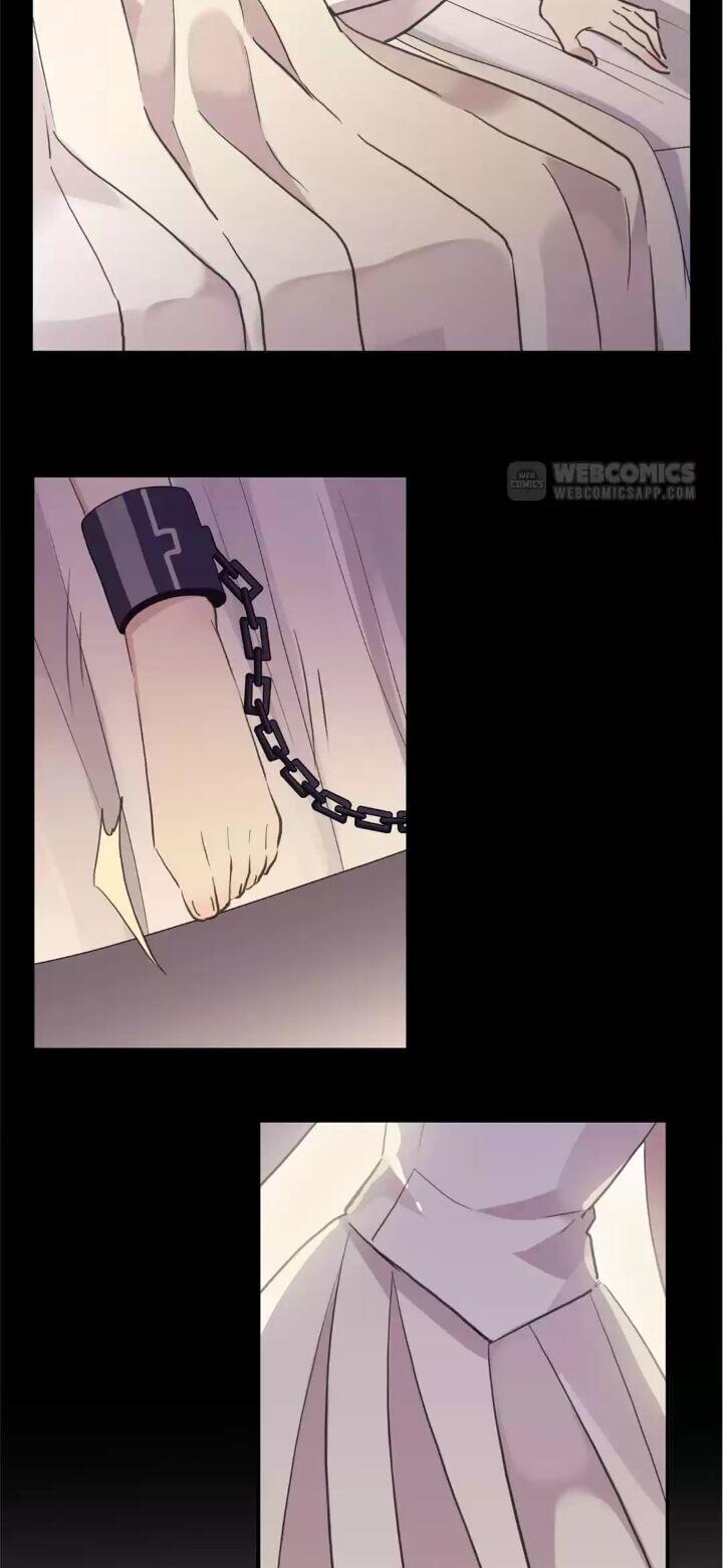 Page 5 of Chapter 81