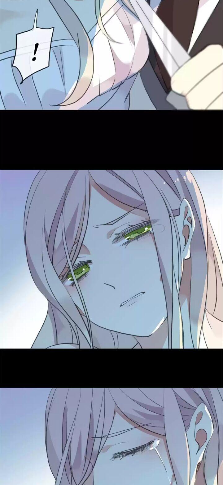 Page 41 of Chapter 84