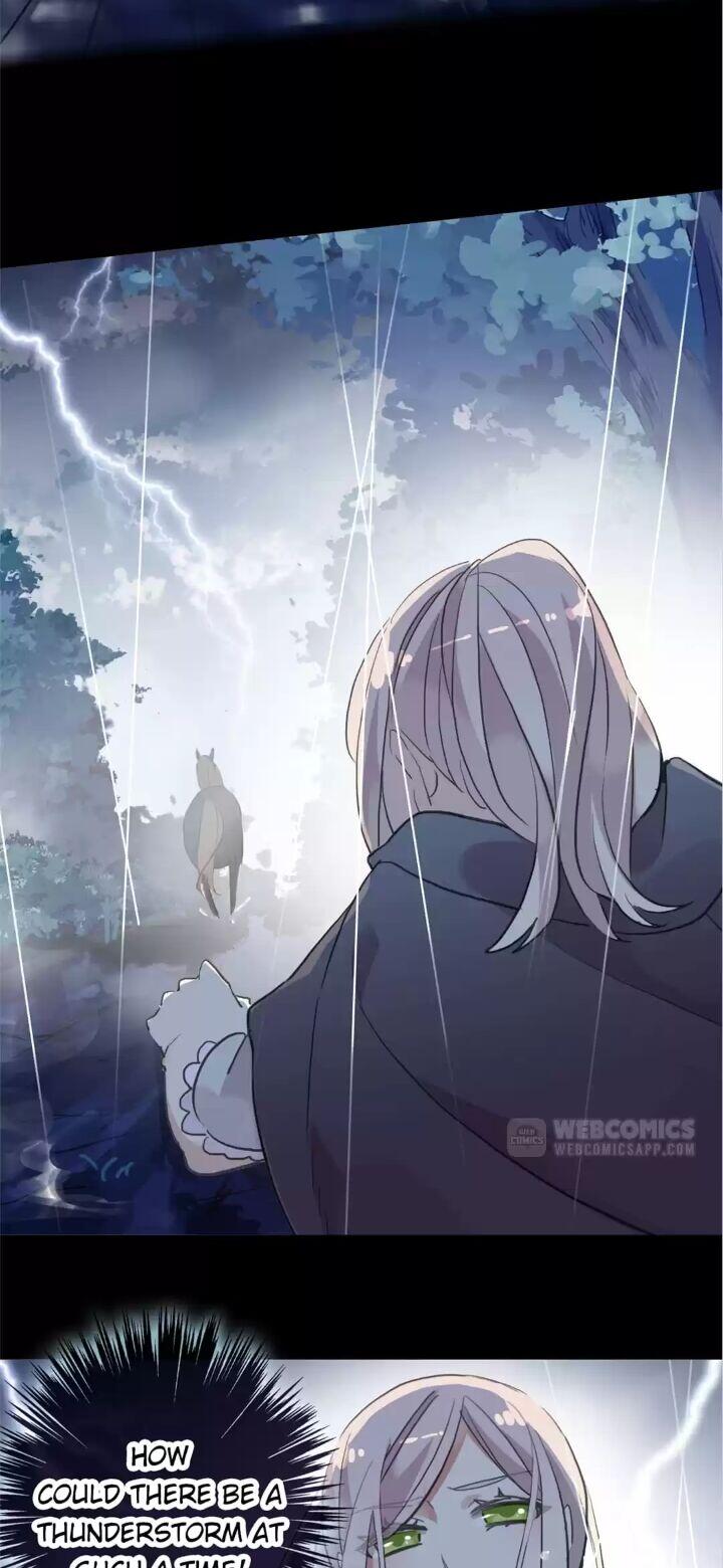 Page 17 of Chapter 90