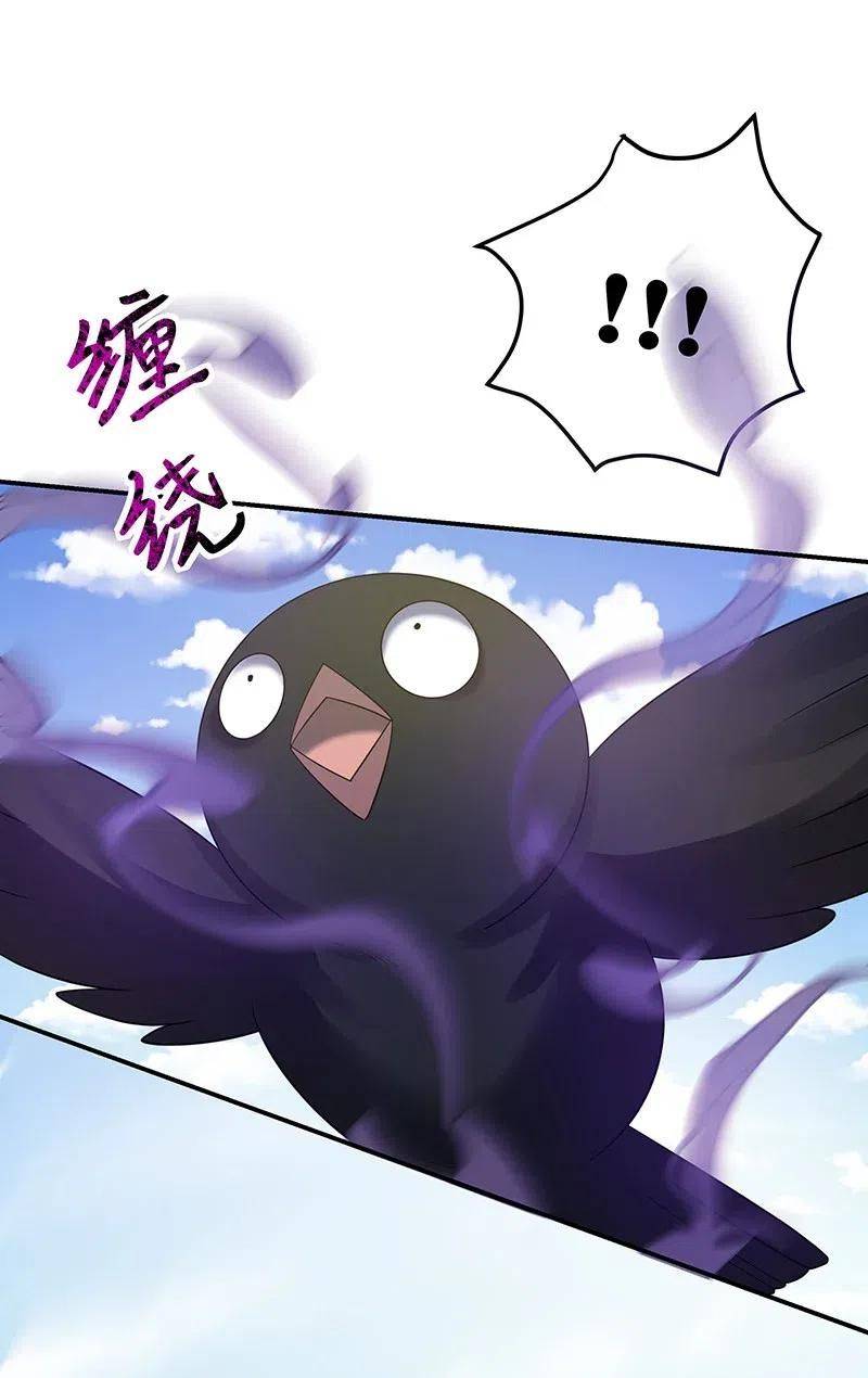 Page 41 of Chapter 24