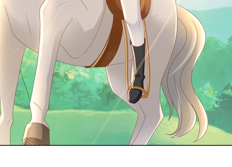 Page 43 of Chapter 208