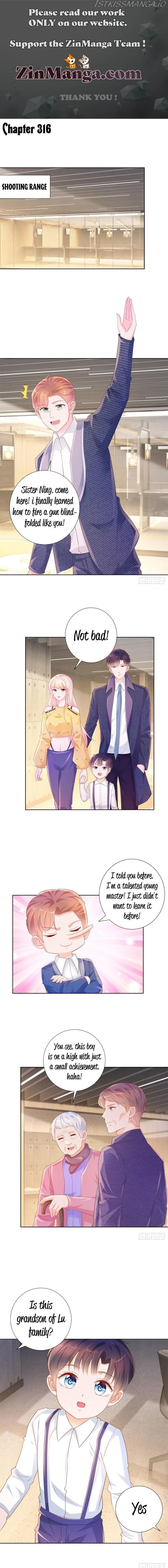 Page 1 of Chapter 316