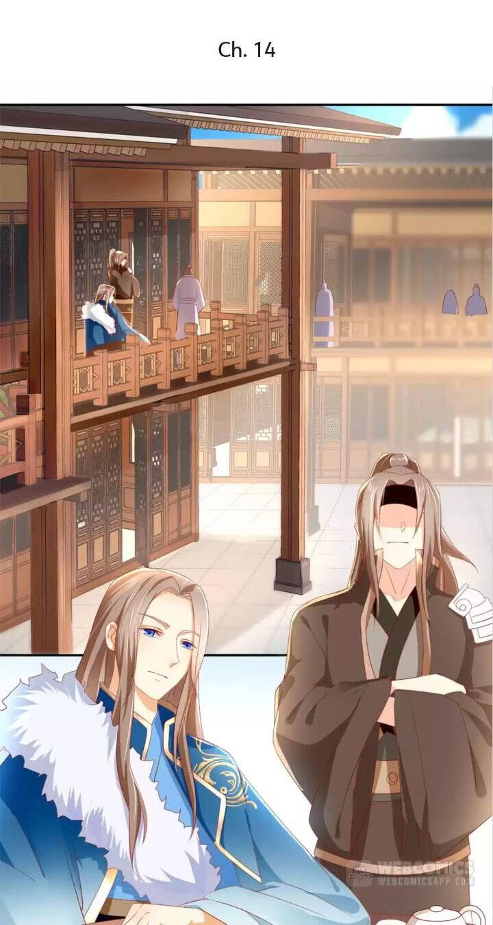 Page 1 of Chapter 14