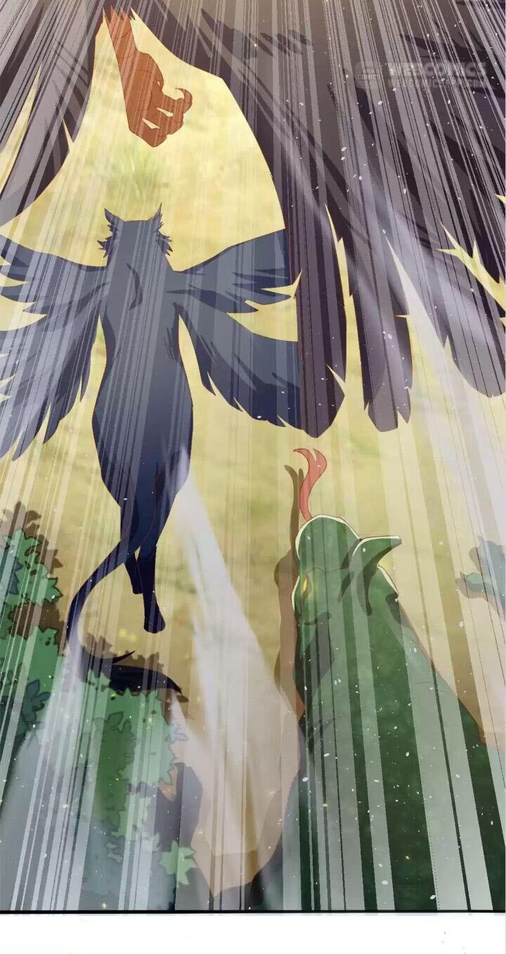 Page 29 of Chapter 81