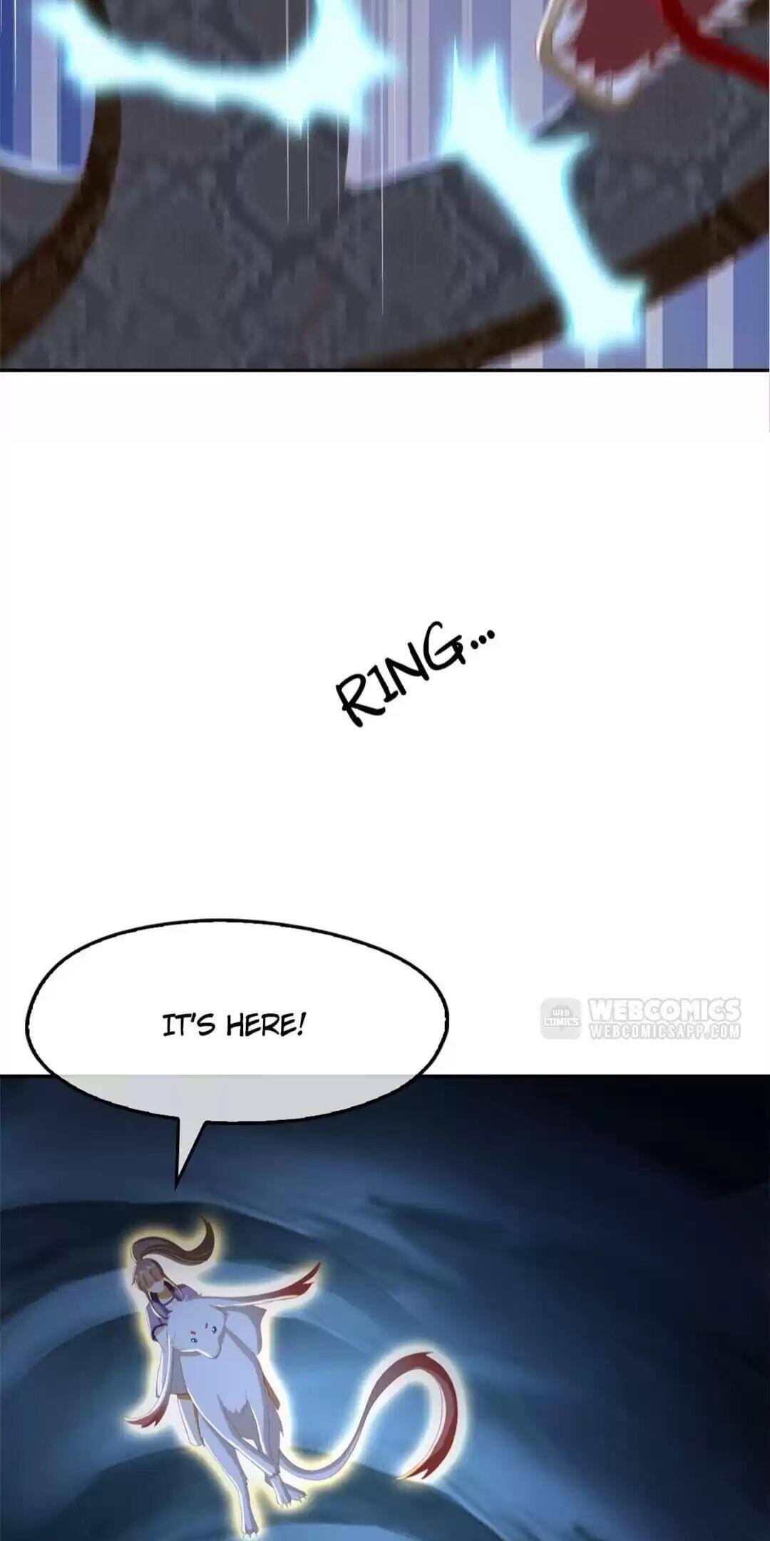 Page 17 of Chapter 84