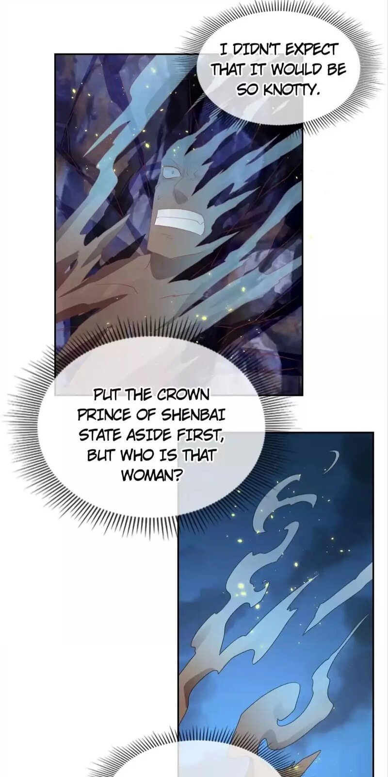 Page 13 of Chapter 91