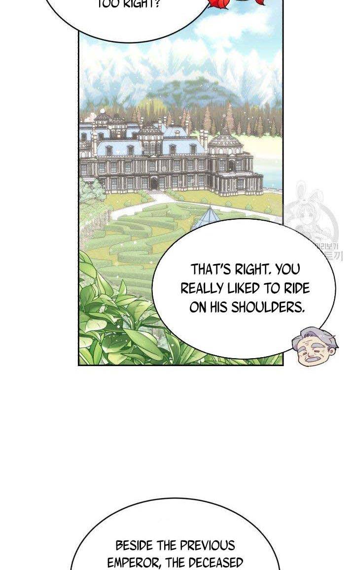 Page 17 of Chapter 19