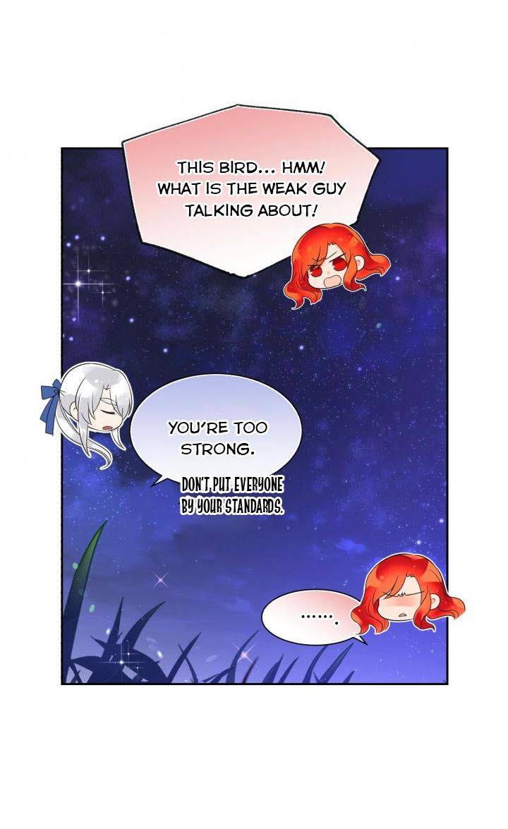 Page 40 of Chapter 3
