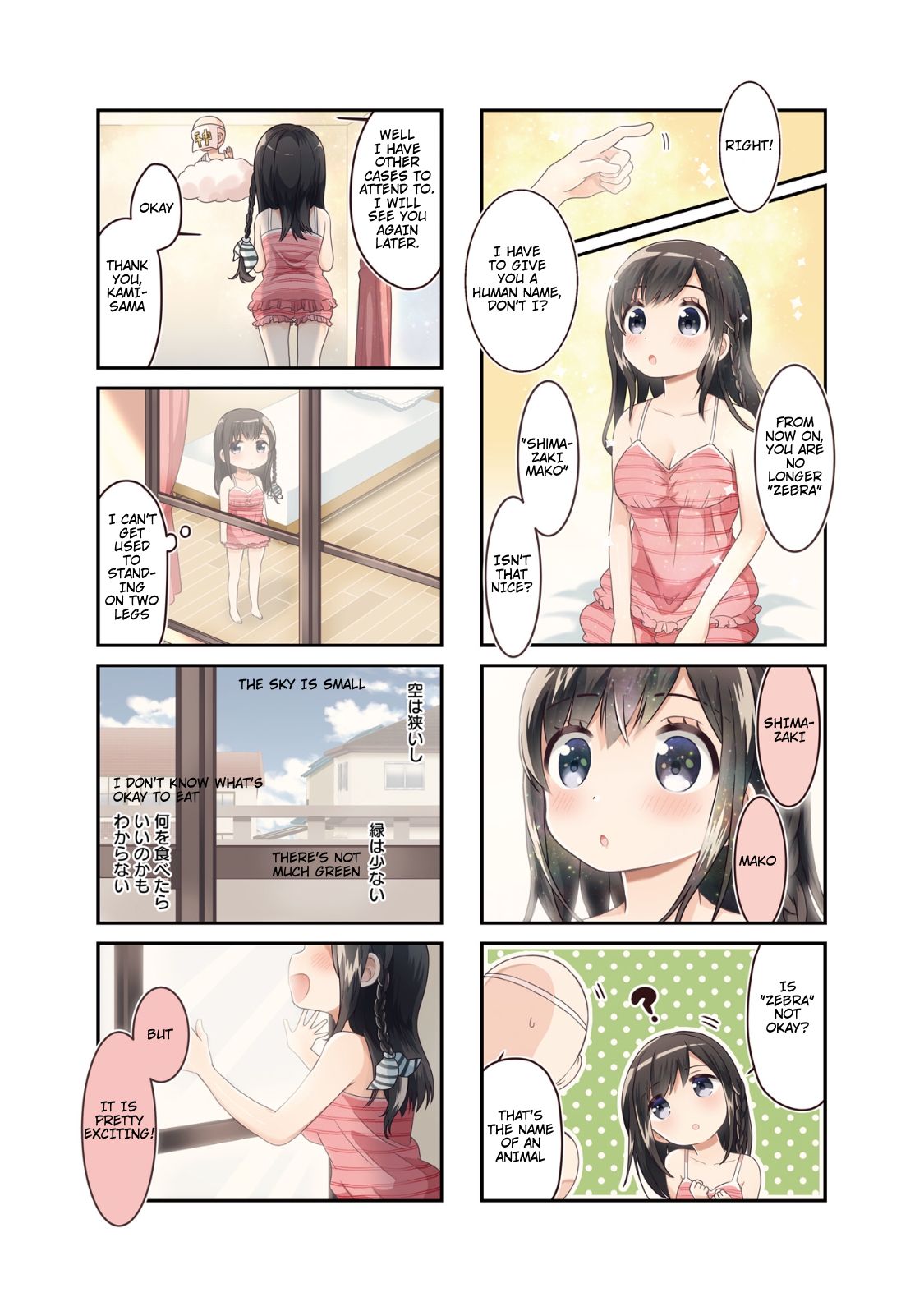 Page 4 of Chapter 1